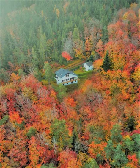 خانه جنگلی در پاییز